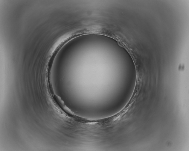 X0000091910054200709051427