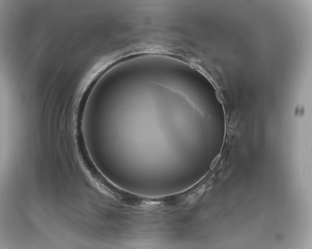 X0000091910055200709051427