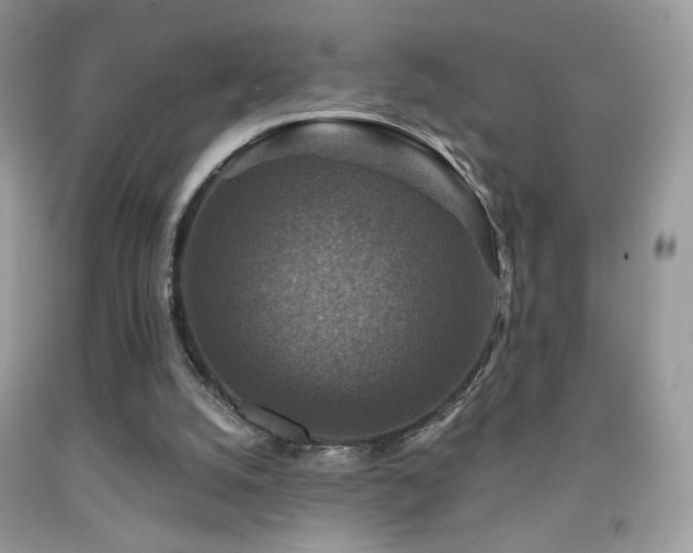 X0000091910056200709051427