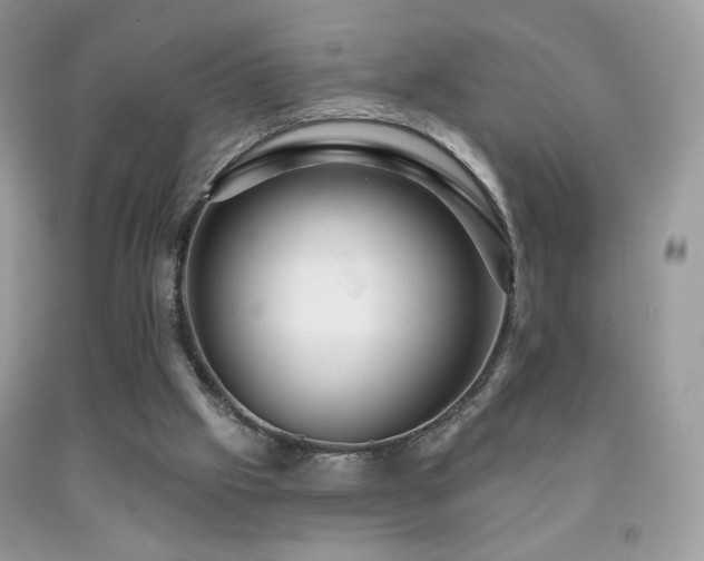 X0000091910057200709051427
