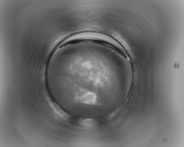 X0000091910058200709051427