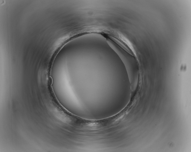 X0000091910059200709051427
