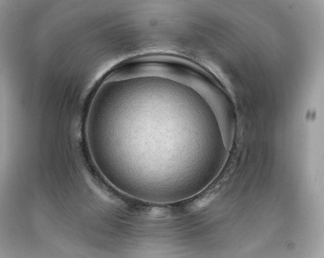 X0000091910060200709051427