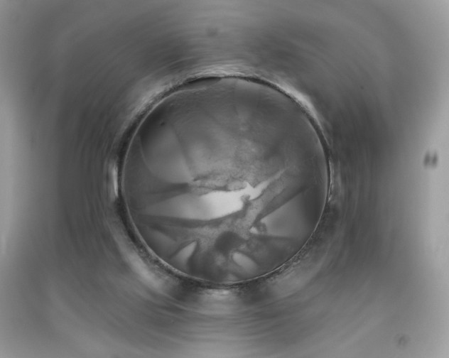 X0000091910061200709051427