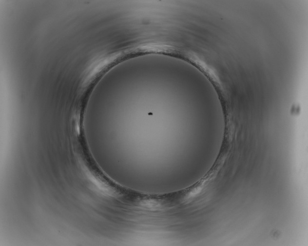 X0000091910062200709051427