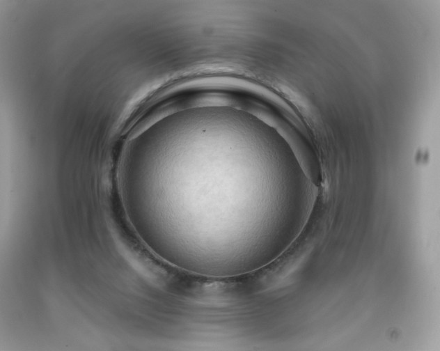 X0000091910064200709051427