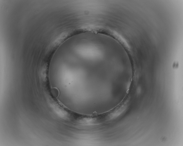X0000091910065200709051427