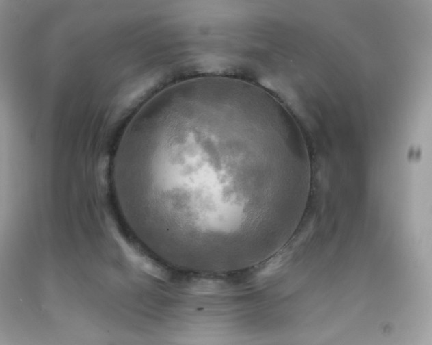 X0000091910066200709051427