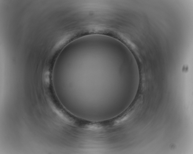 X0000091910067200709051427