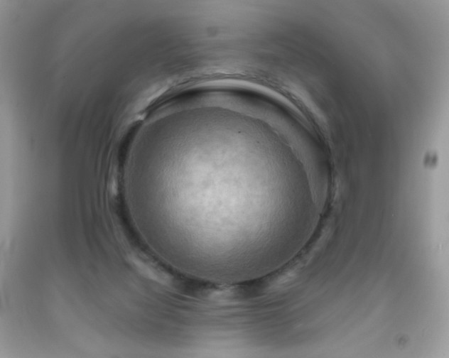 X0000091910068200709051427