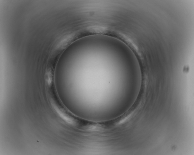 X0000091910069200709051427