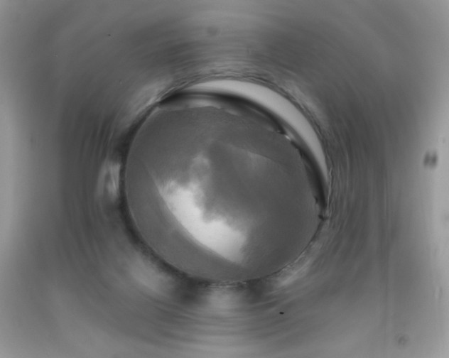 X0000091910070200709051427