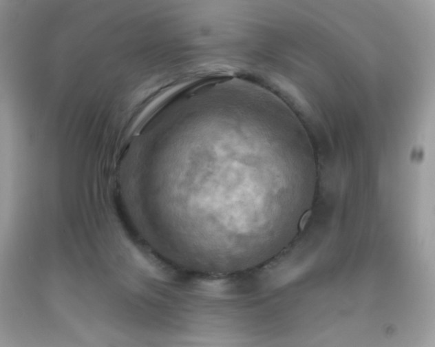 X0000091910071200709051427
