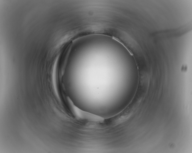 X0000091910072200709051427