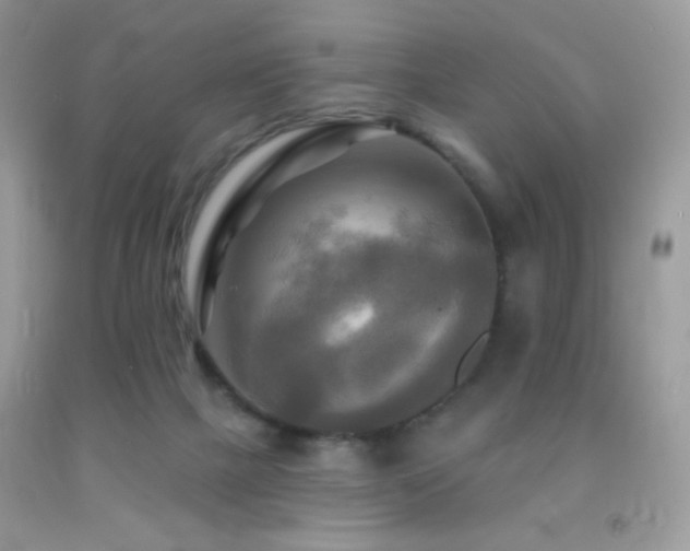 X0000091910073200709051427