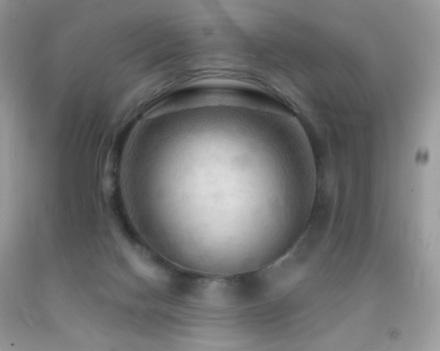 X0000091910074200709051427