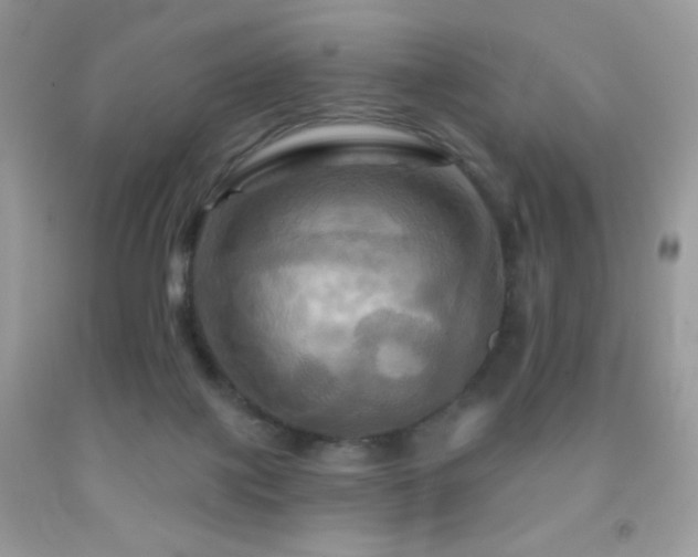 X0000091910075200709051427