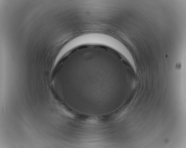 X0000091910076200709051427