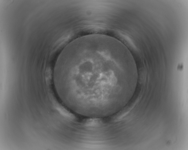 X0000091910077200709051427