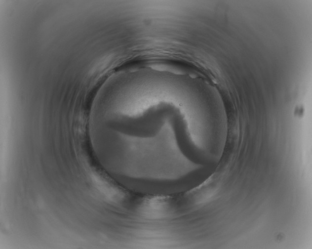 X0000091910078200709051427