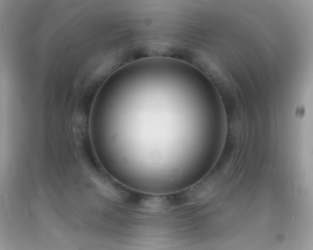 X0000091910079200709051427