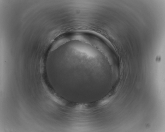 X0000091910080200709051427