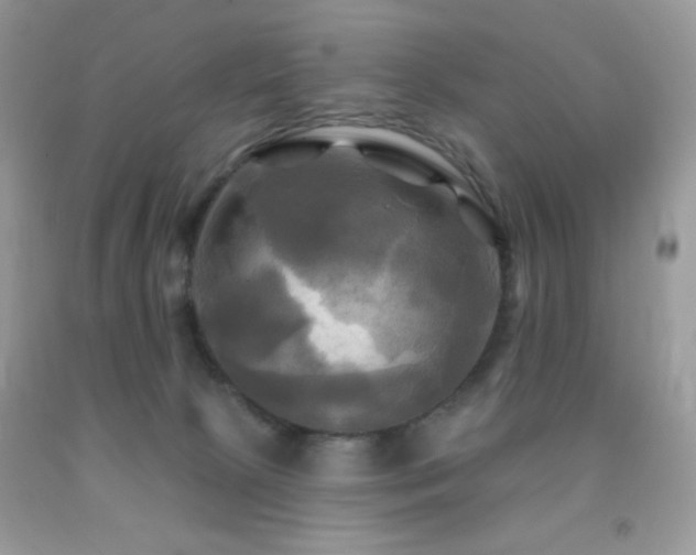 X0000091910081200709051428