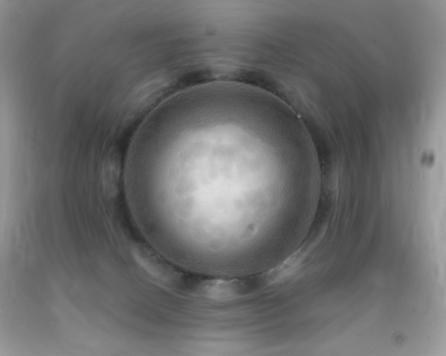 X0000091910082200709051428