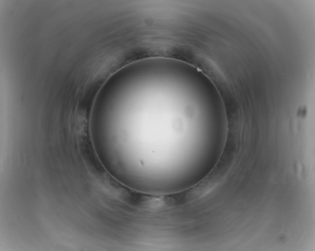 X0000091910083200709051428