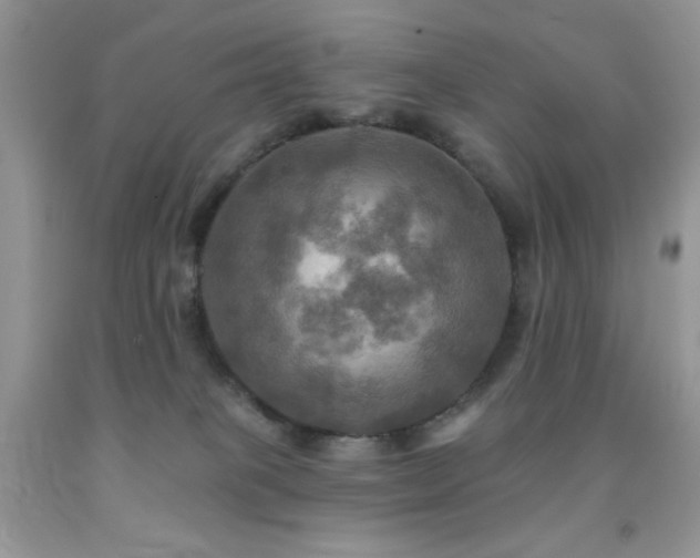 X0000091910085200709051428
