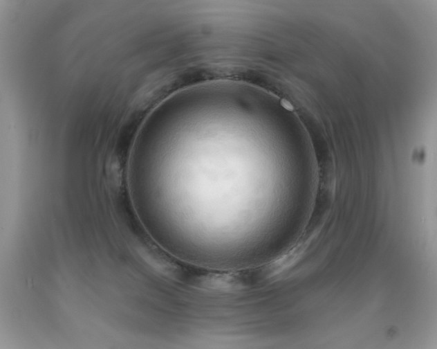 X0000091910086200709051428