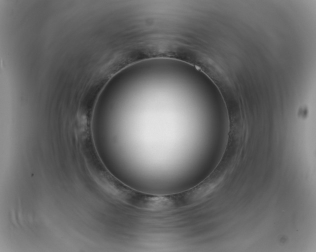 X0000091910087200709051428