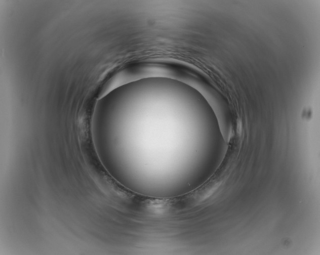 X0000091910088200709051428