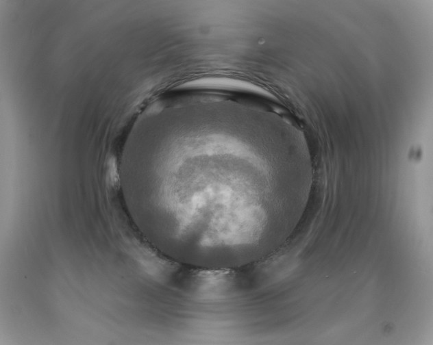 X0000091910089200709051428