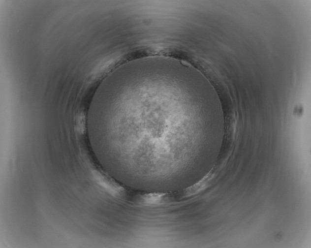 X0000091910090200709051428