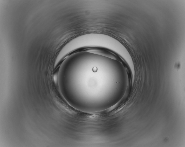 X0000091910092200709051428