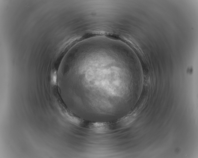 X0000091910095200709051428