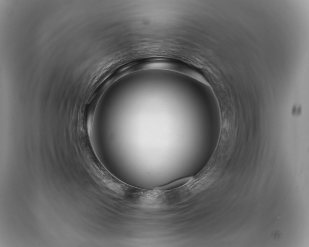 X0000091910096200709051428