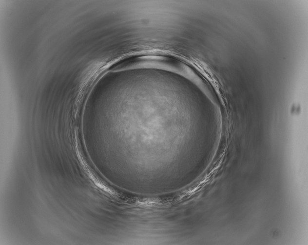 X0000091910097200709051427