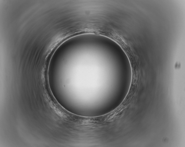 X0000091910098200709051427