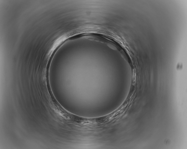 X0000091910099200709051427