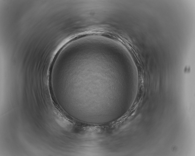 X0000091910100200709051427