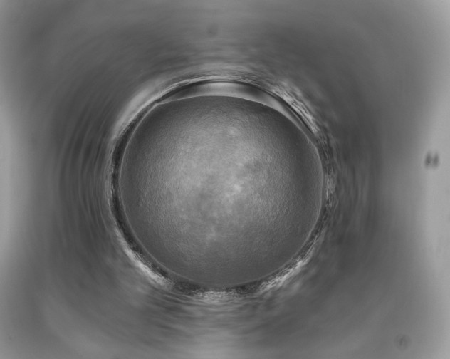X0000091910101200709051427