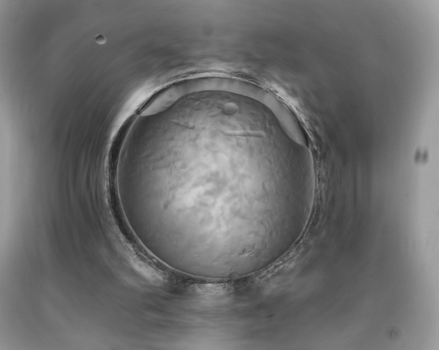 X0000091910102200709051427