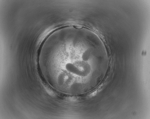 X0000091910103200709051427