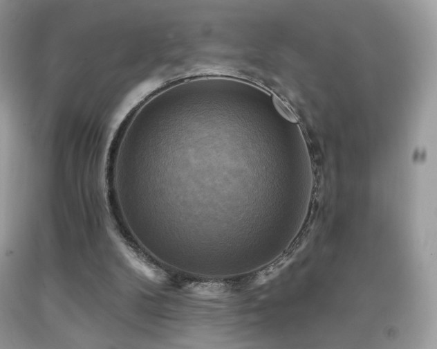 X0000091910104200709051427