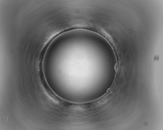 X0000091910106200709051427