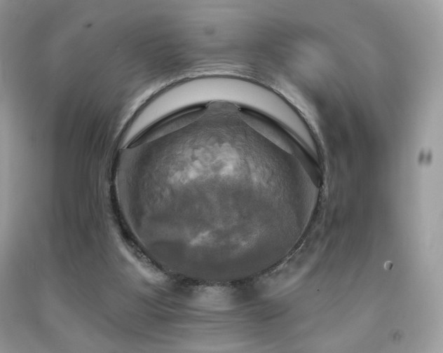 X0000091910107200709051427