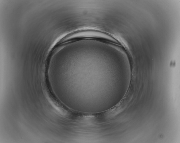 X0000091910108200709051427
