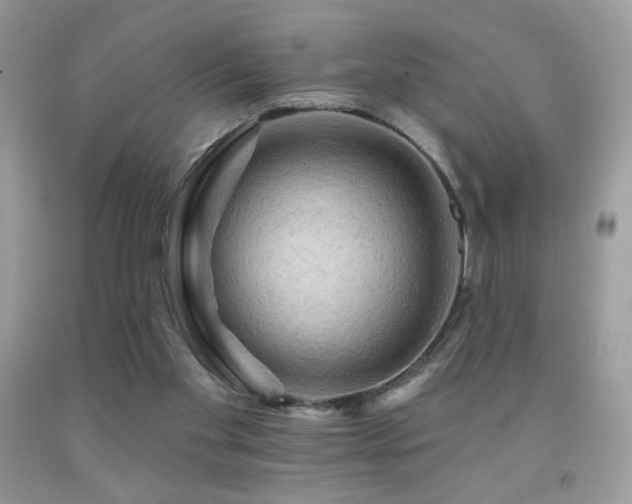 X0000091910109200709051427